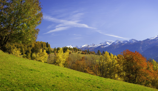 748770 (a): :2200x1265